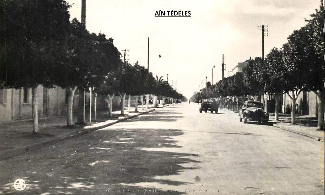 Ain Tedeles 518.jpg